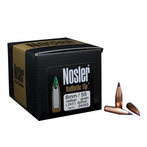 6mm 55gr Ballistic Tip Spitzer Projectiles