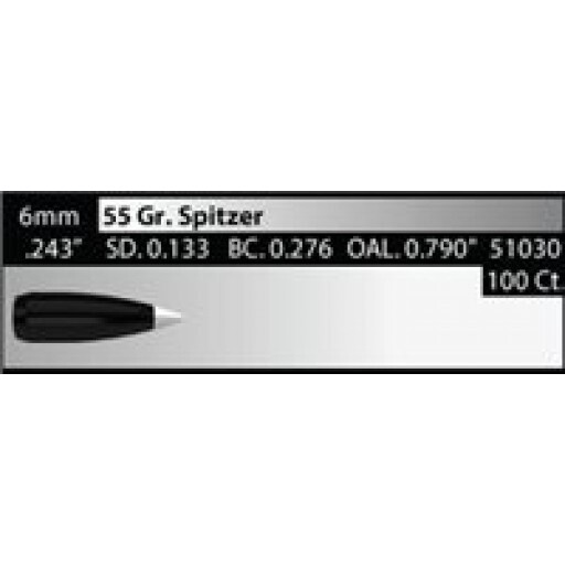Ballistic Silver 6mm 55gr