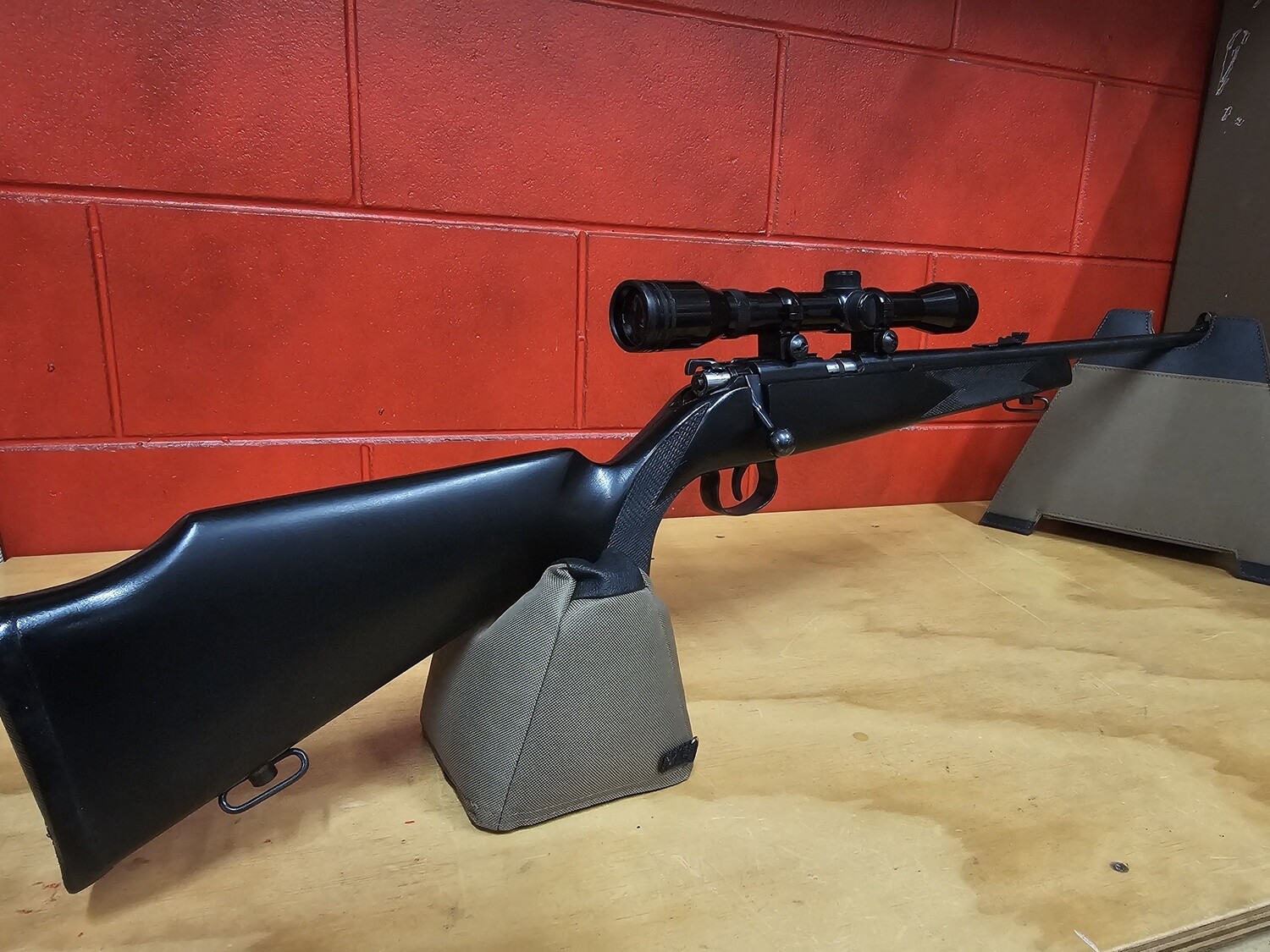 .22 Norinco/Scope