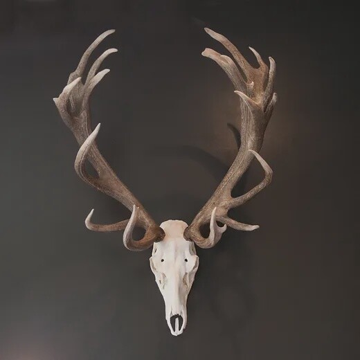 MTN Red Stag Standaed Trophyhook