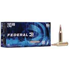243 Win SP Federal Power Shock 80gr