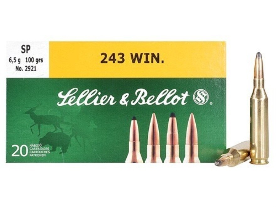 Sellior &amp; Bellot 243 Win 100gr SP