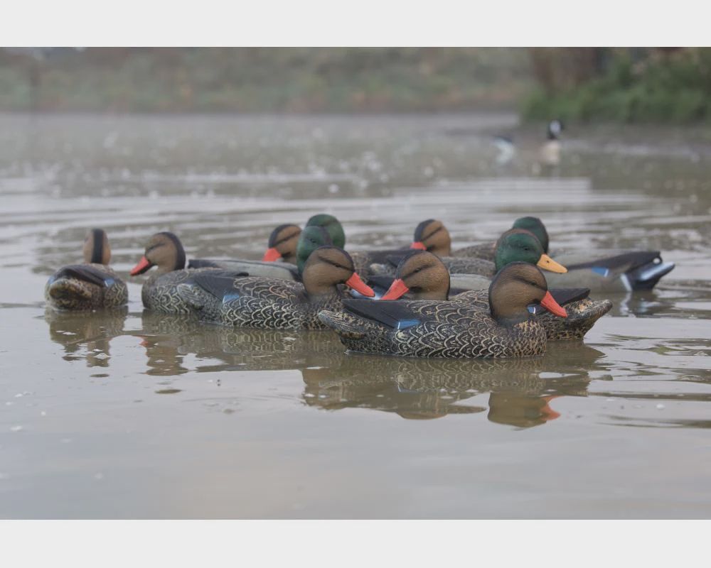 Waterfowler 15.5&quot; Mallard Decoys 6 Hen &amp; 6 Drake (Doz)