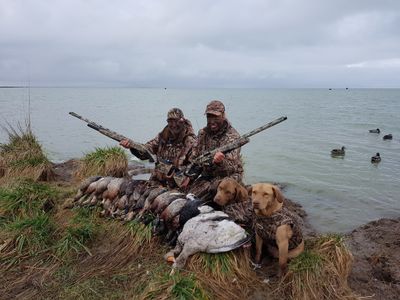 Duck Shooting