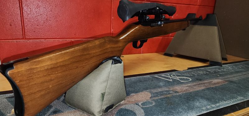 10/22 Ruger Carbine (Wooden Stock) Blued + Scope