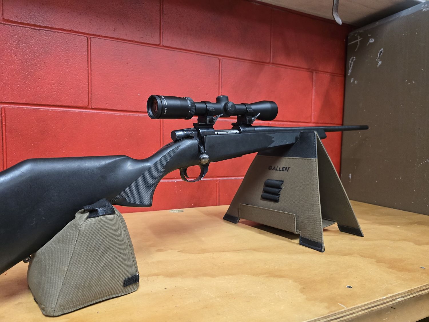 22-250 Weatherby Vanguard - Burris Fullfield II 3-9x40