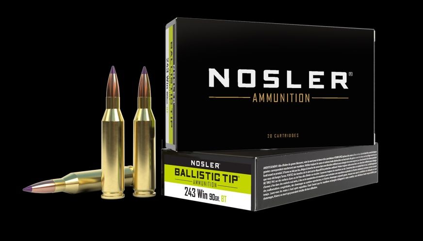 243 Nosler 90gr Ballistic Tip
