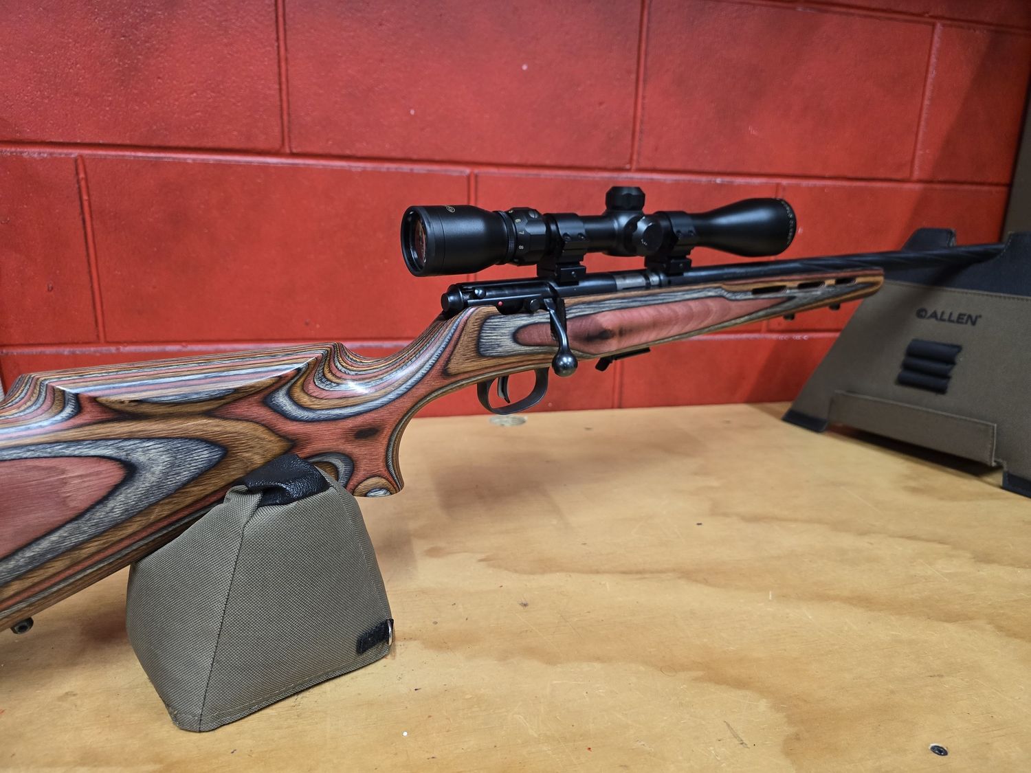 22WMR Savage Model 93 with Tasco Scope