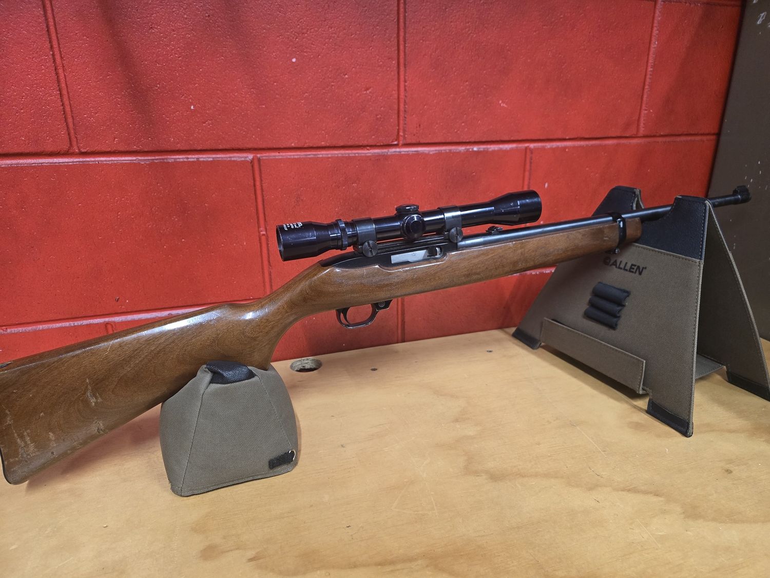 10/22 Ruger - Wooden Stock