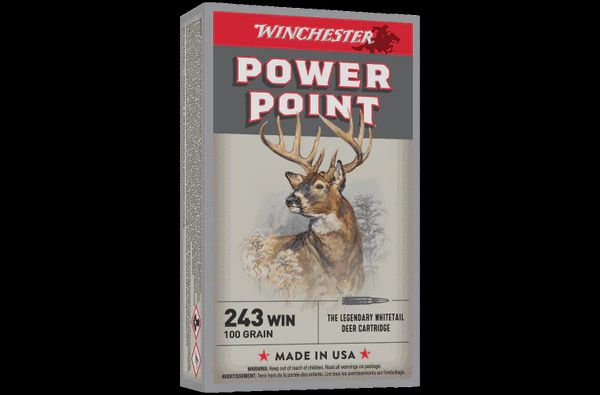 243 Winchester Super X Power Point 100gr