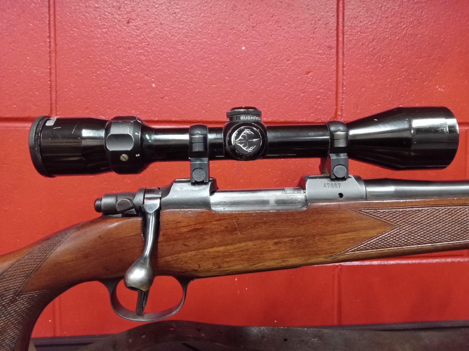 Brno Model ZKK-601 .243 with Scope