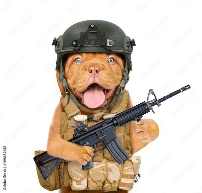 Secondhand Centerfire