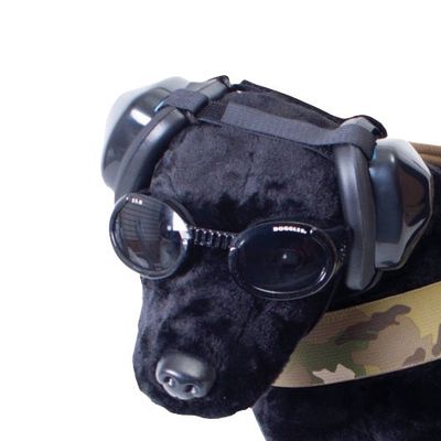 Eye and Ear Protection