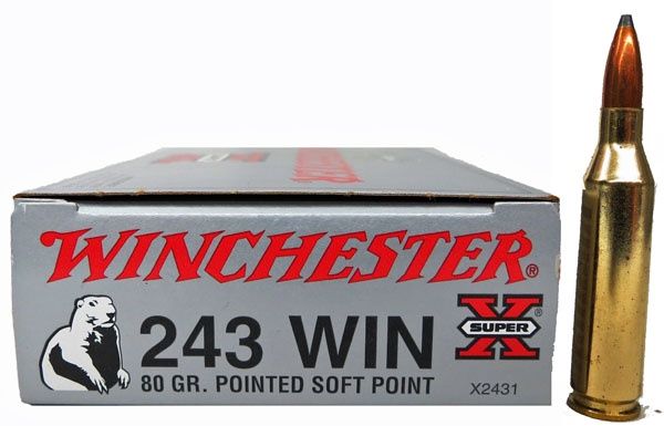243 Winchester SuperX  80gr PSP (20)