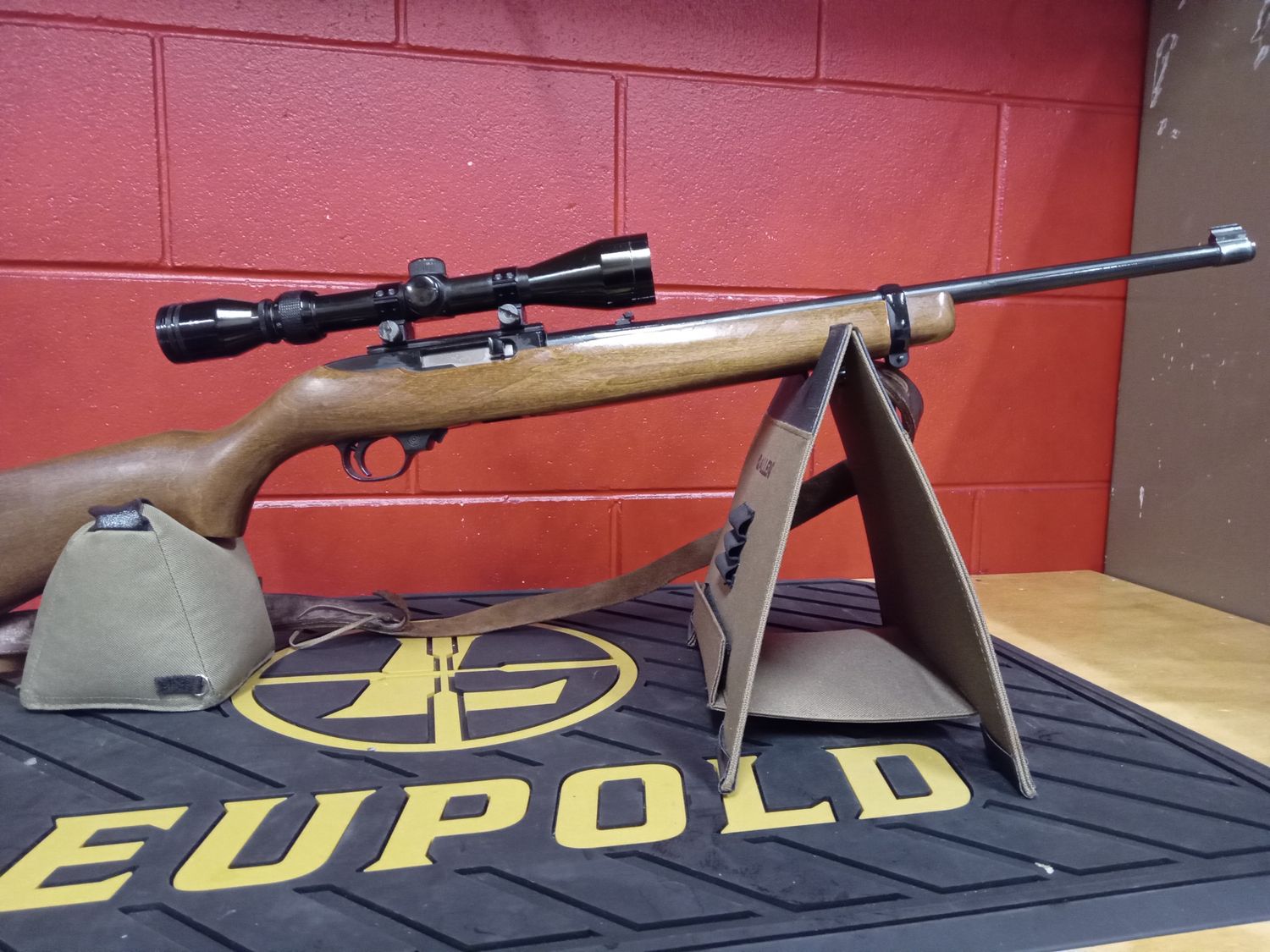 .22 Ruger 10/22 with 3-9x40 Scope (#7918)