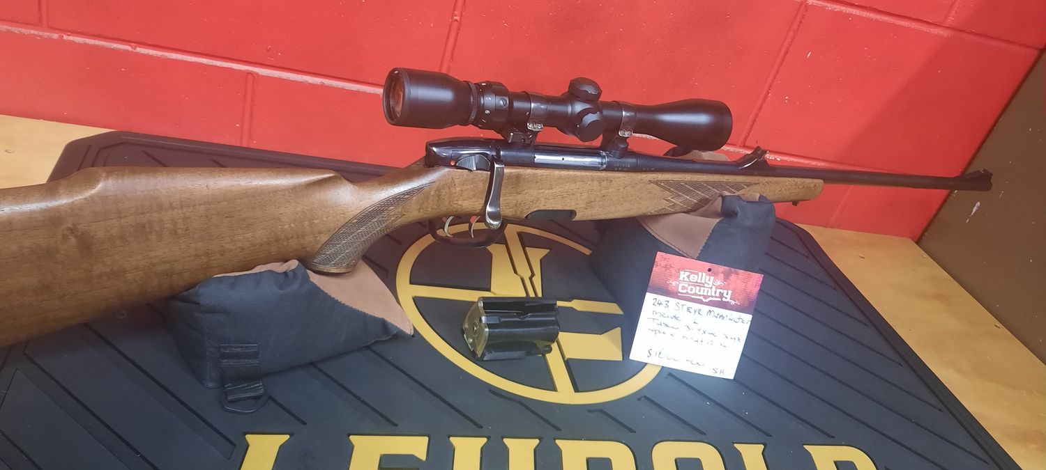 Steyr Mannlicher Modelm L .243