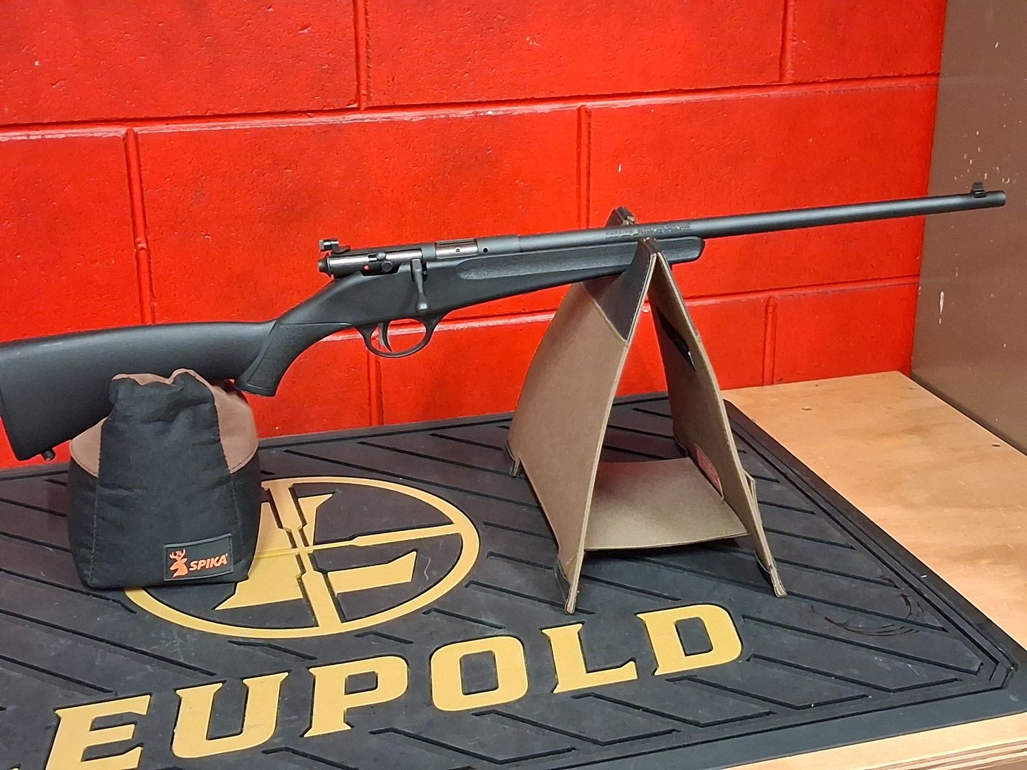 Savage Rascal .22lr