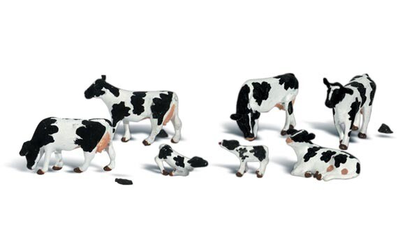 N HOLSTEIN COWS