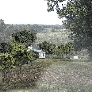 Tree Pack - Ready Made Trees(TM)