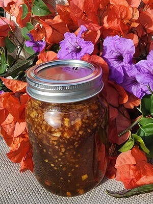 Organic Fermented Garlic Honey
