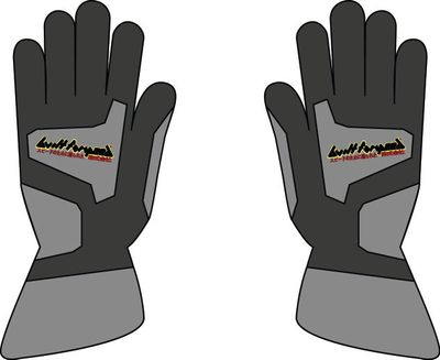 Built For Speed Gloves