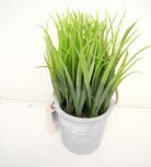 Grass In Pot, 9&quot;