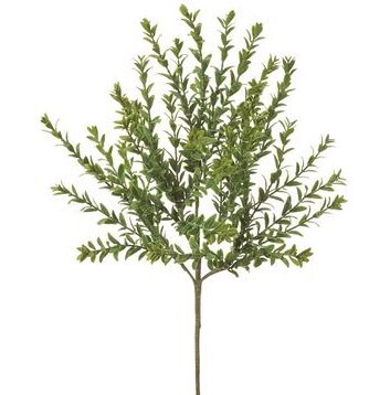 PBB848-GR MINI BOXWOOD SPRAY 22&quot;