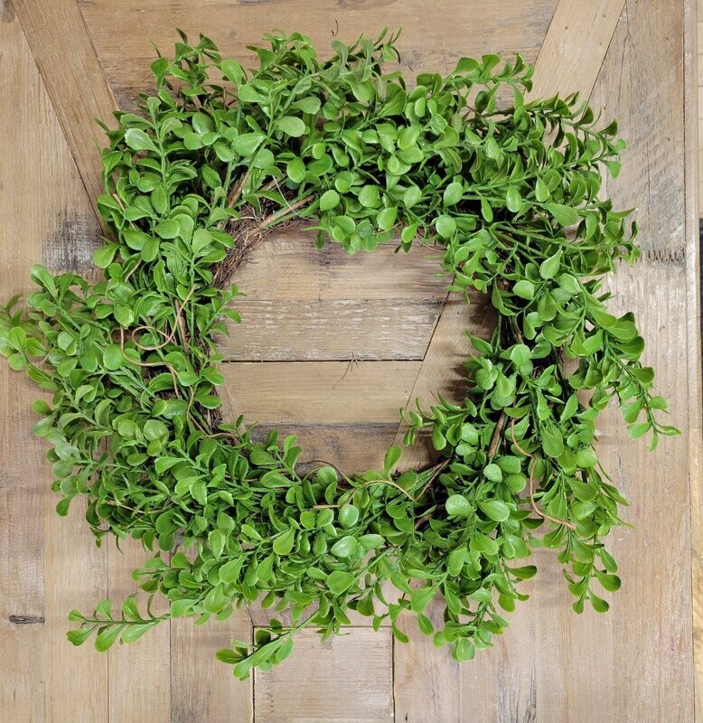 Evergreen Boxwood Wreath, 22&quot;