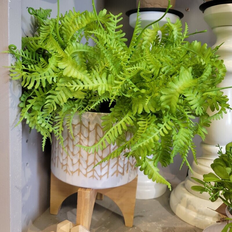 10&quot; Soft PE Mini Fern Bush