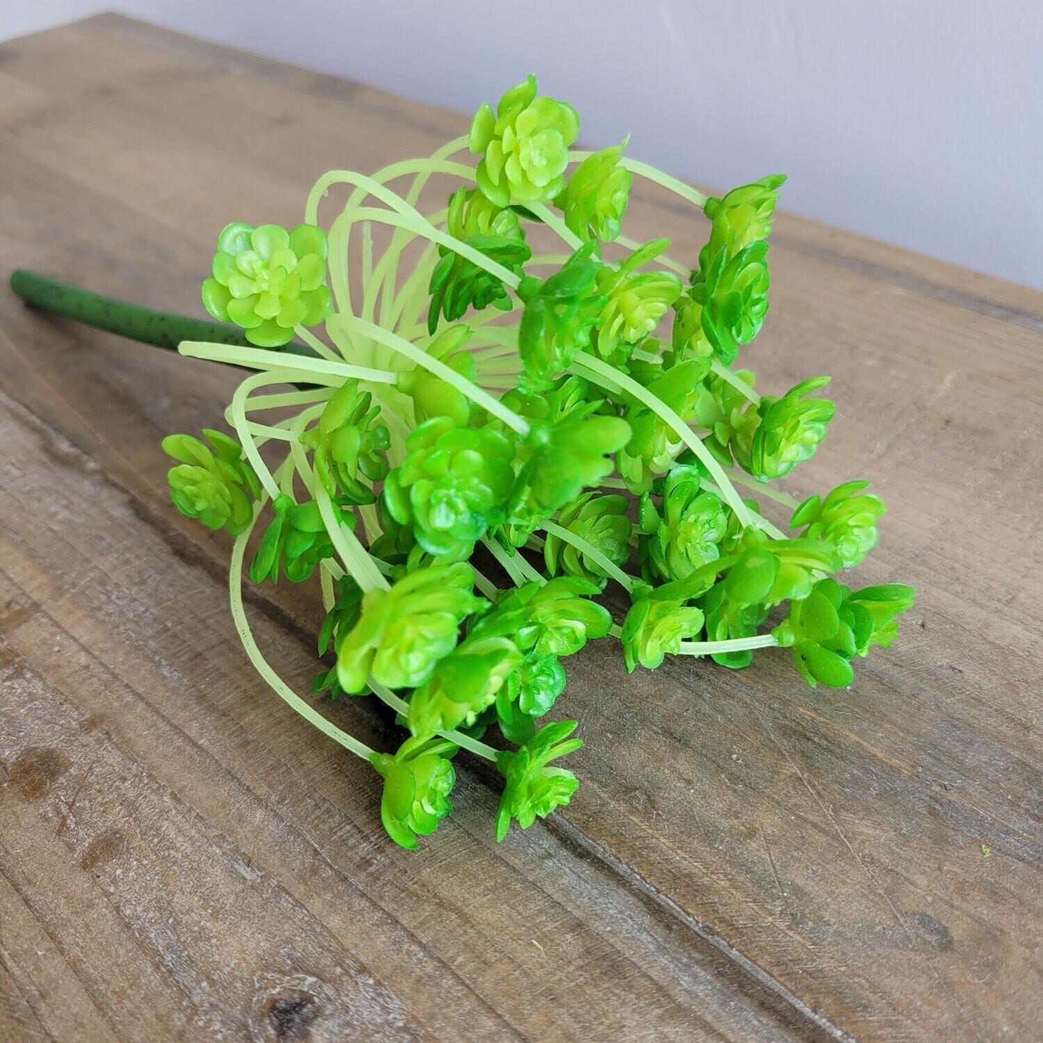 Green Rosette Succulent, 10&quot;