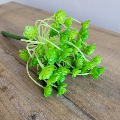 Green Rosette Succulent, 10&quot;