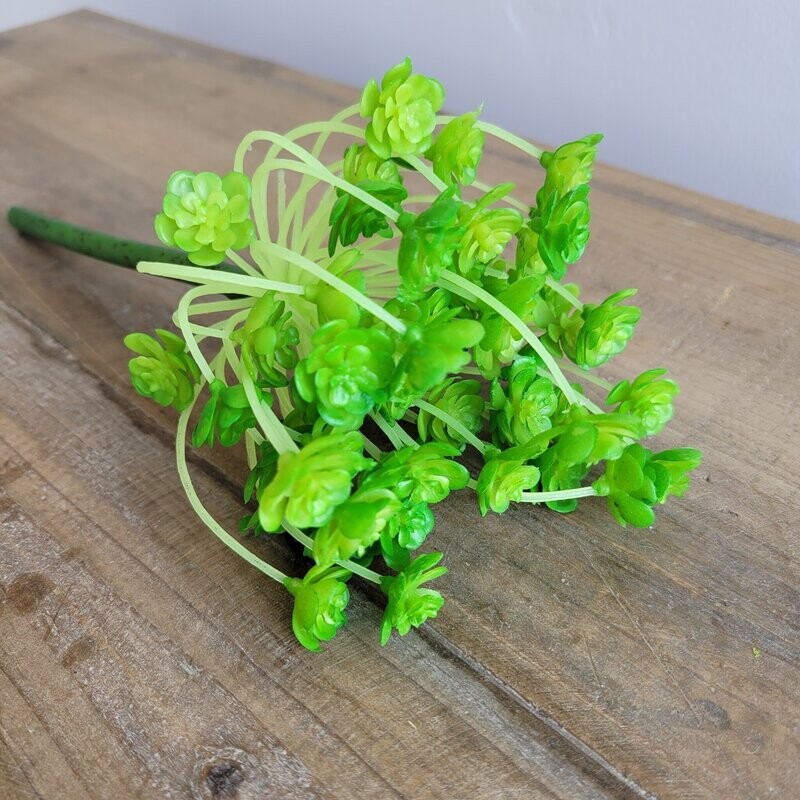 Green Rosette Succulent, 10&quot;
