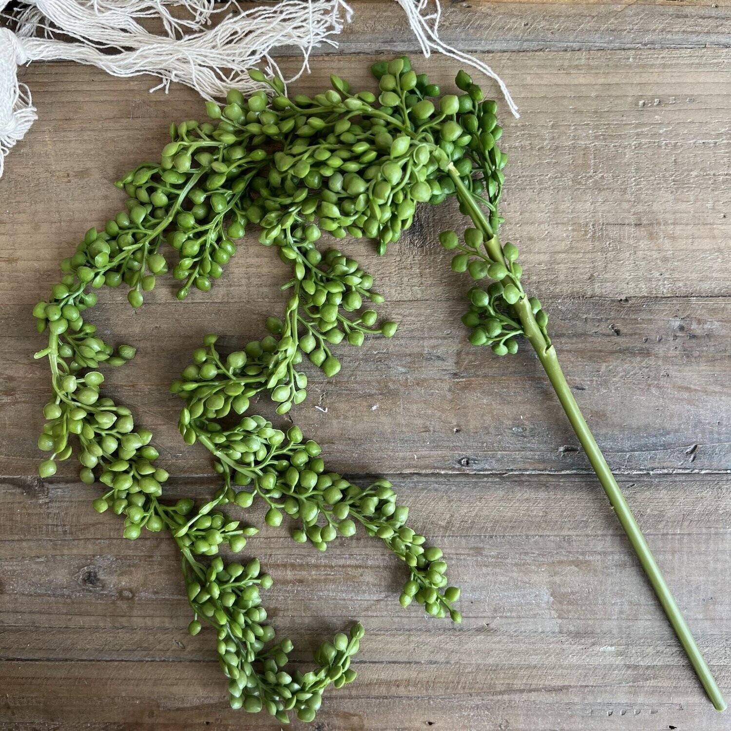 Hanging Berry Stem