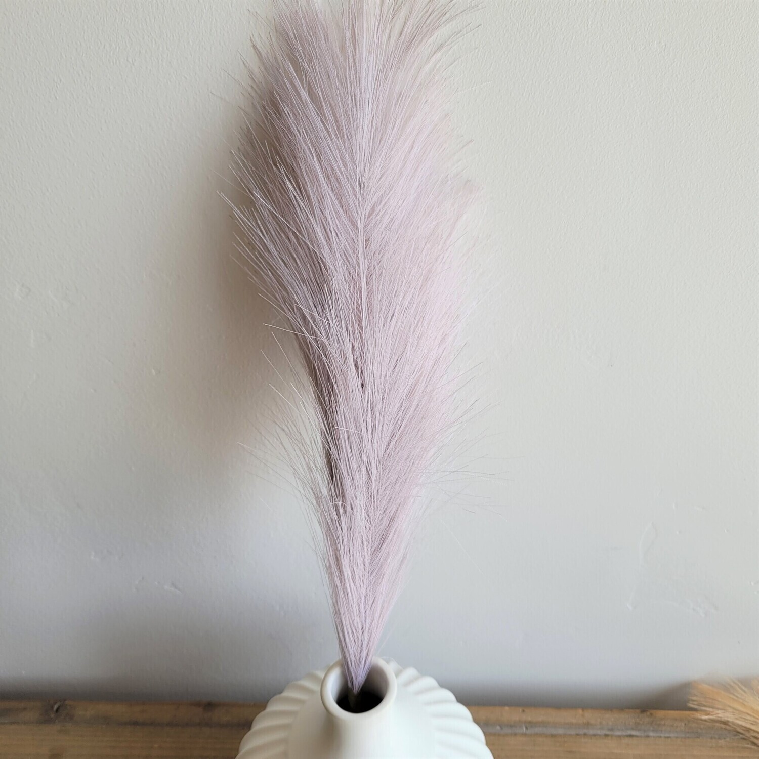 Pampas Grass, Mauve 21&quot;