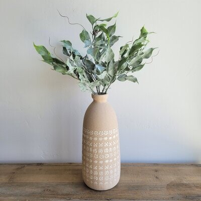 Ficus Bush 16&quot;
