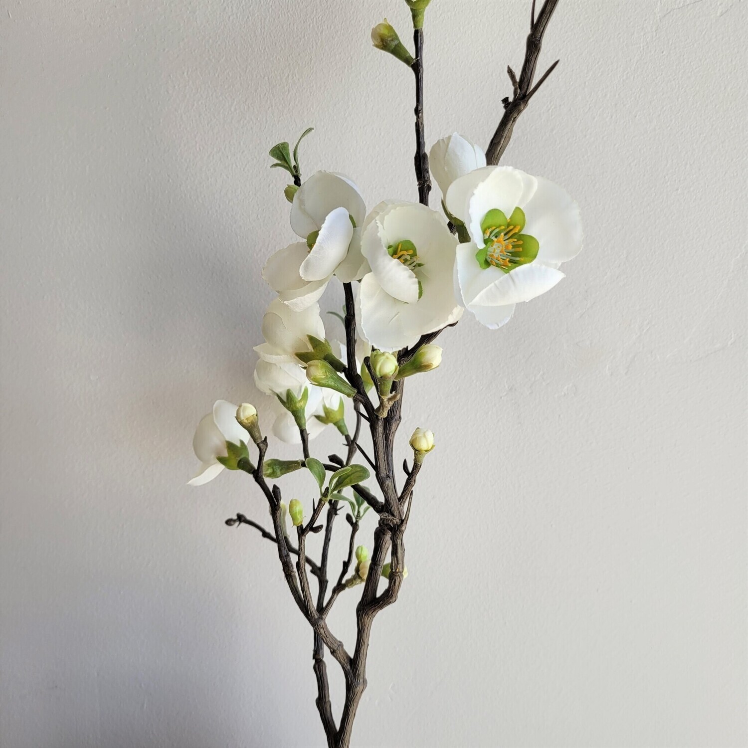 Quince Blossom Spray Cream 35&quot;