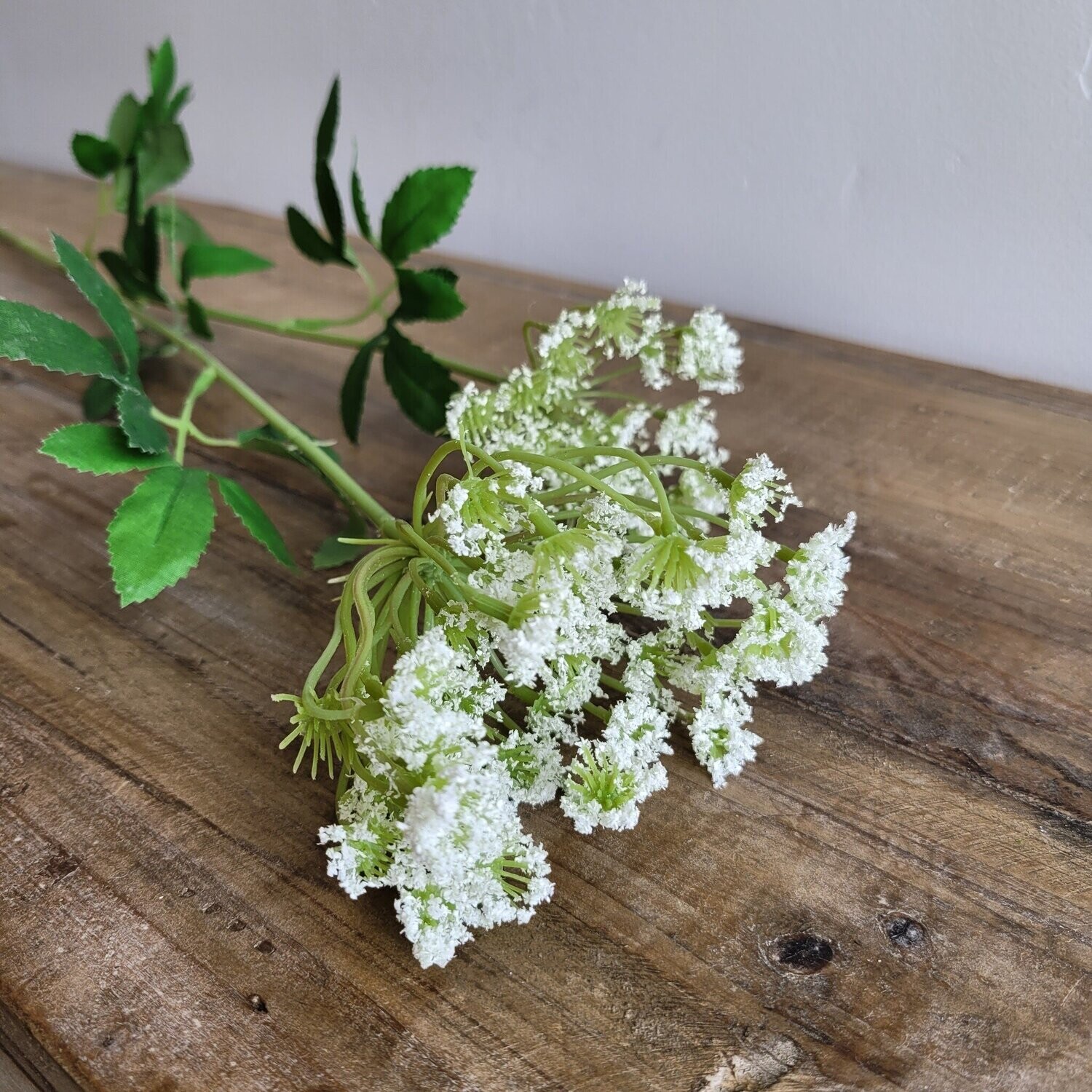 Queen Anne&#39;s Lace Spray, White