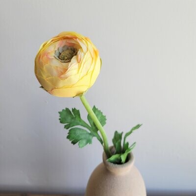Yellow Ranunculus Spray, 20&quot;