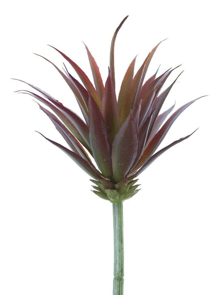 8.5&quot; Mini Yucca Pick