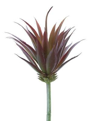 8.5&quot; Mini Yucca Pick