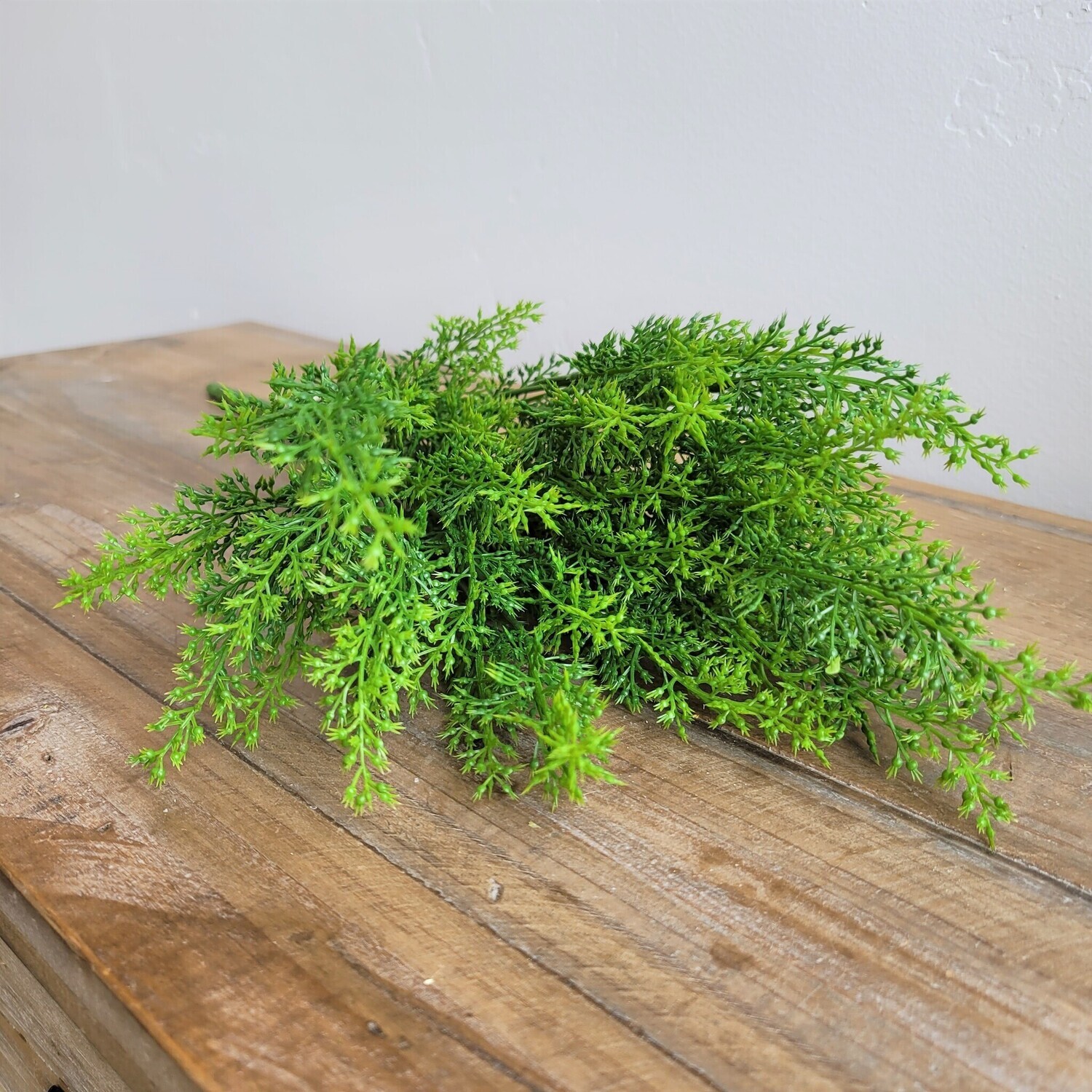 Green Heather Bush,  18&quot;