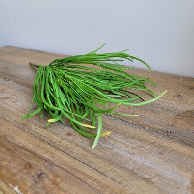 Grass Bush 16&quot;