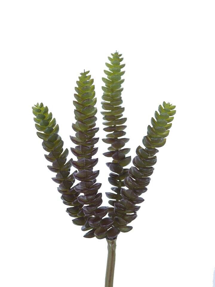 10&quot; Burro Tail Pick