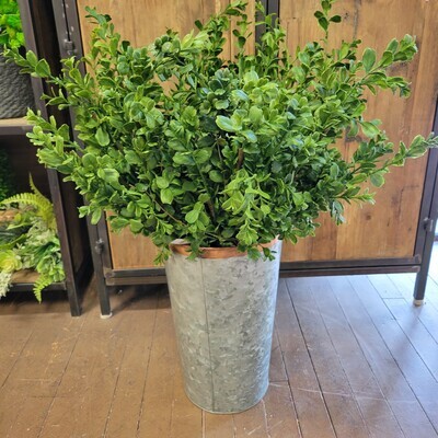 Boxwood Pick, 28&quot;