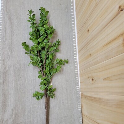 Real Touch Boxwood Pick, 28&quot;