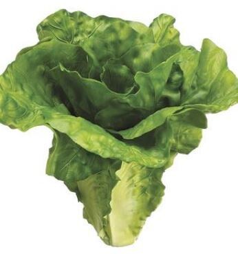 Faux Lettuce Head