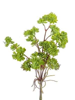 Succulent Bush 16.5&quot;
