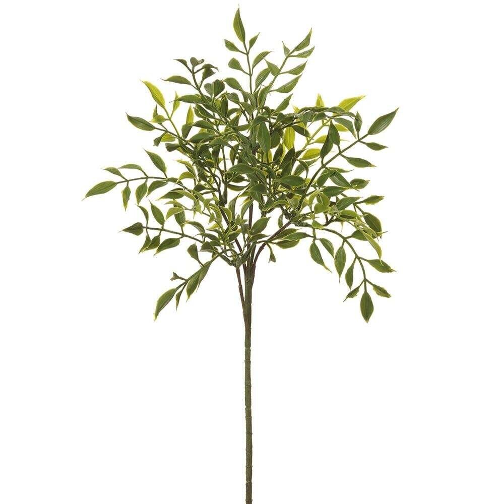 Nandia Spray, 16&quot;