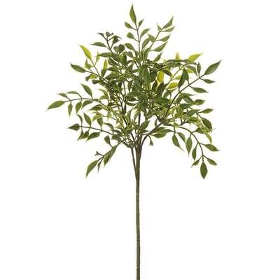 Nandia Spray, 16&quot;