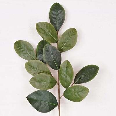 Sweetbay Magnolia Leaves Spray, 31&quot;
